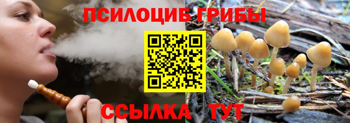 Галлюциногенные грибы Psilocybine cubensis  Вход с VPN  Барнаул 